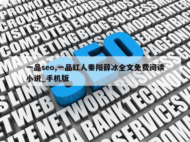 一品seo,一品红人秦阳薛冰全文免费阅读小说_手机版