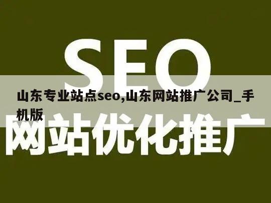 山东专业站点seo,山东网站推广公司_手机版