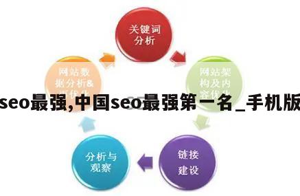 seo最强,中国seo最强第一名_手机版