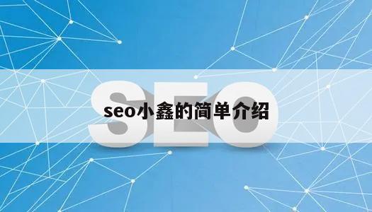 seo小鑫的简单介绍