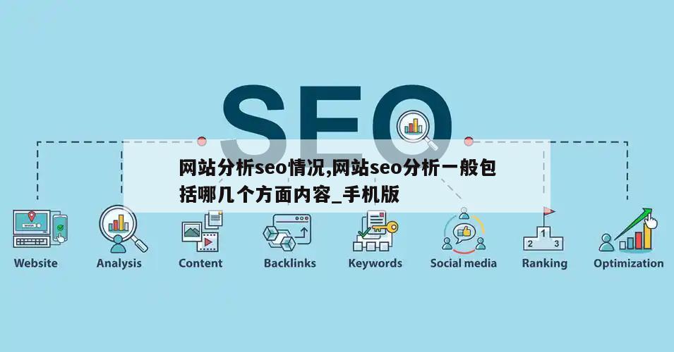 网站分析seo情况,网站seo分析一般包括哪几个方面内容_手机版