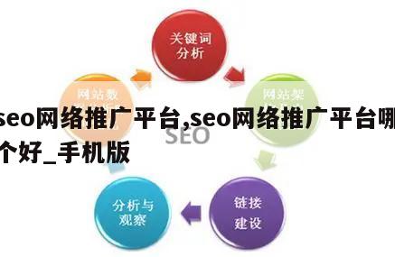 seo网络推广平台,seo网络推广平台哪个好_手机版