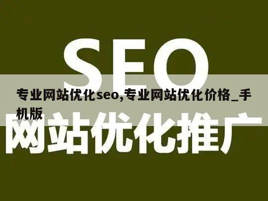 专业网站优化seo,专业网站优化价格_手机版