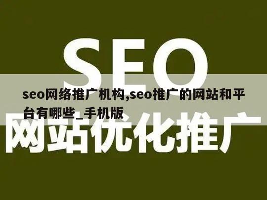 seo网络推广机构,seo推广的网站和平台有哪些_手机版