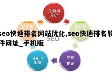 seo快速排名网站优化,seo快速排名软件网址_手机版