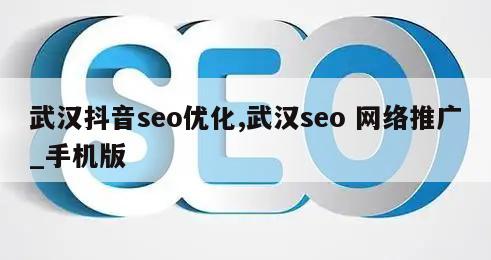 武汉抖音seo优化,武汉seo 网络推广_手机版