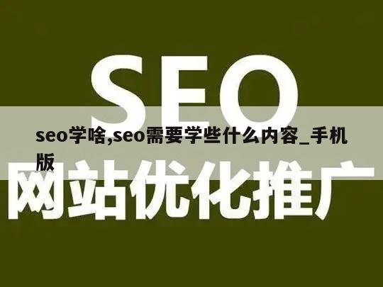 seo学啥