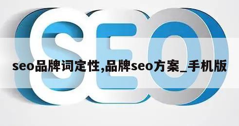 seo品牌词定性