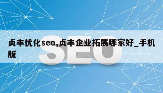 贞丰优化seo,贞丰企业拓展哪家好_手机版