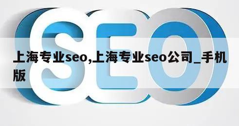 上海专业seo,上海专业seo公司_手机版