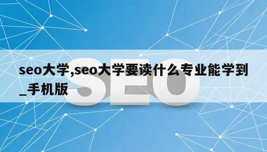 seo大学,seo大学要读什么专业能学到_手机版