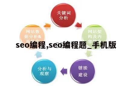 seo编程,seo编程题_手机版