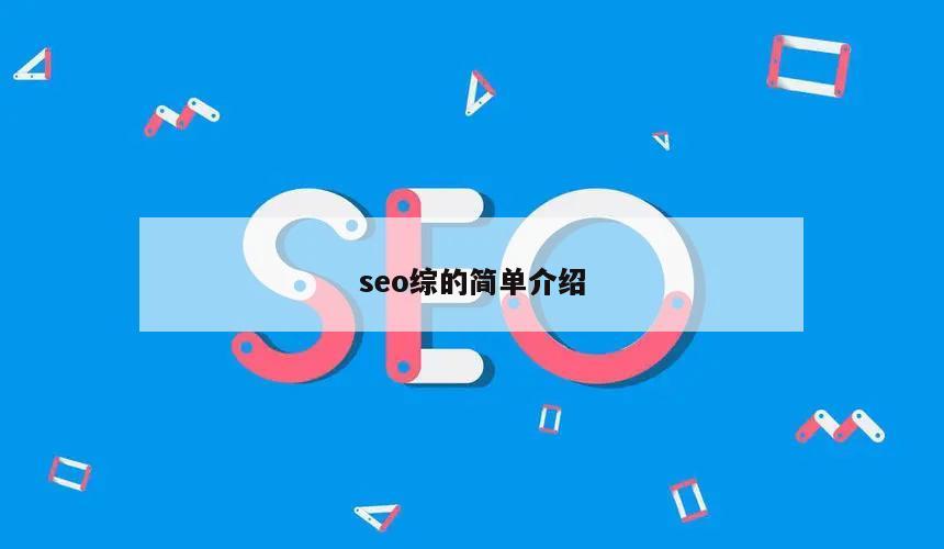 seo综的简单介绍