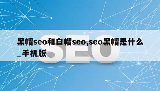 黑帽seo和白帽seo,seo黑帽是什么_手机版