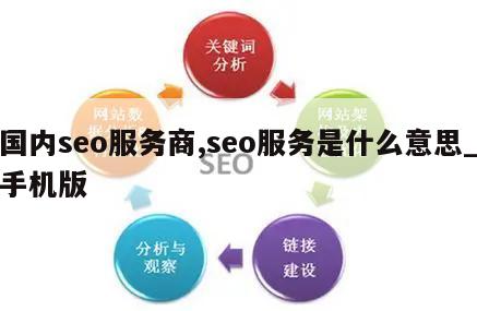 国内seo服务商,seo服务是什么意思_手机版