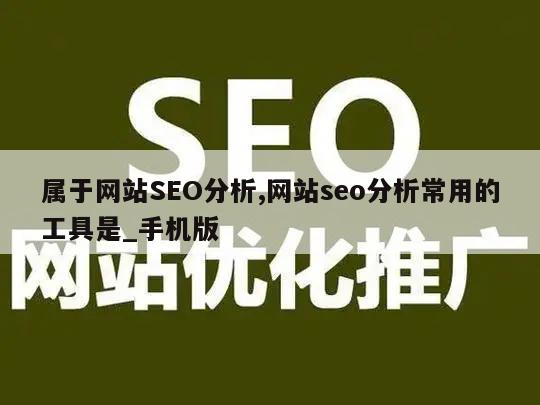 属于网站SEO分析,网站seo分析常用的工具是_手机版