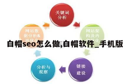 白帽seo怎么做,白帽软件_手机版