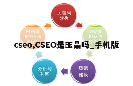 cseo,CSEO是玉晶吗_手机版