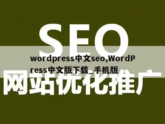 wordpress中文seo