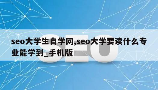 seo大学生自学网,seo大学要读什么专业能学到_手机版