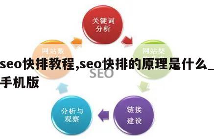 seo快排教程,seo快排的原理是什么_手机版