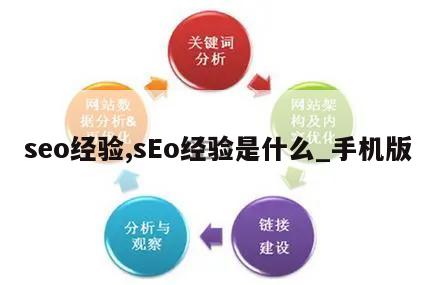 seo经验,sEo经验是什么_手机版