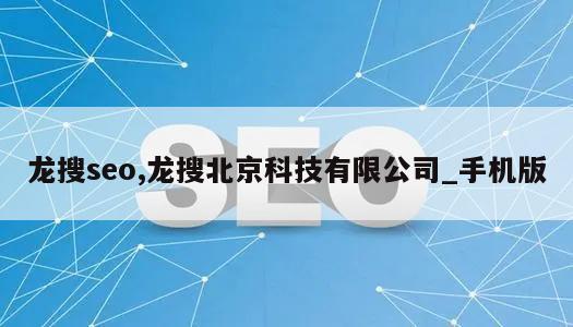 龙搜seo,龙搜北京科技有限公司_手机版