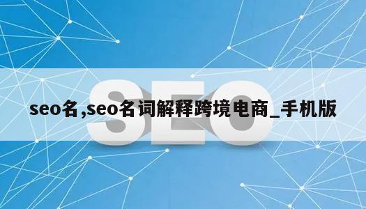 seo名,seo名词解释跨境电商_手机版