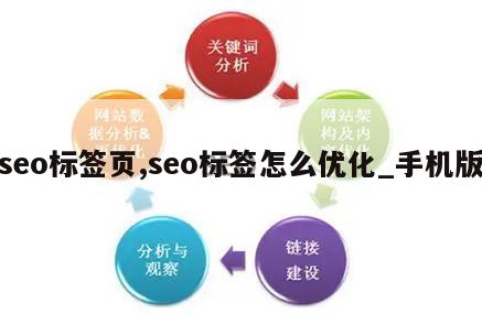 seo标签页