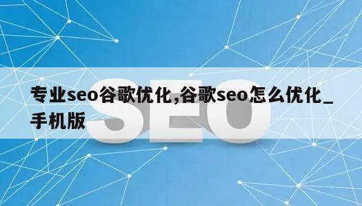 专业seo谷歌优化,谷歌seo怎么优化_手机版