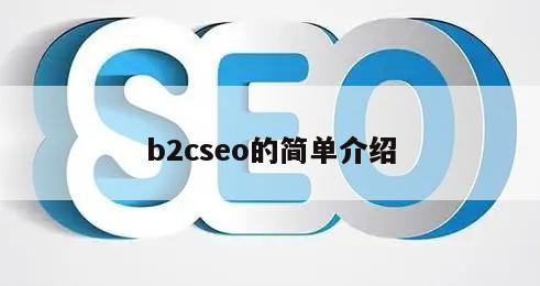 b2cseo的简单介绍