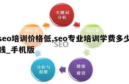 seo培训价格低,seo专业培训学费多少钱_手机版