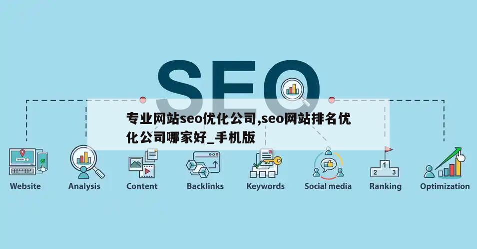 专业网站seo优化公司,seo网站排名优化公司哪家好_手机版