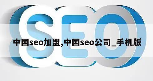 中国seo加盟,中国seo公司_手机版