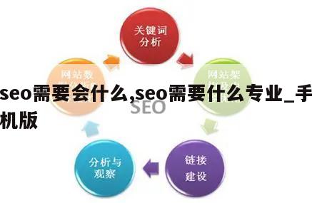 seo需要会什么,seo需要什么专业_手机版