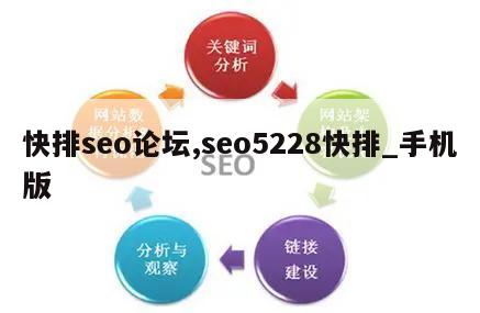 快排seo论坛,seo5228快排_手机版