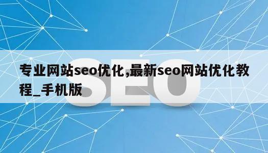 专业网站seo优化,最新seo网站优化教程_手机版