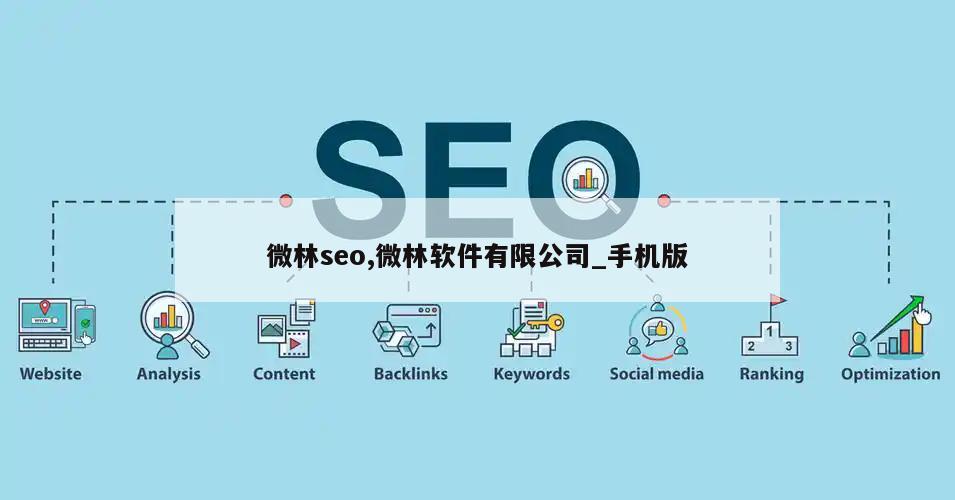 微林seo,微林软件有限公司_手机版