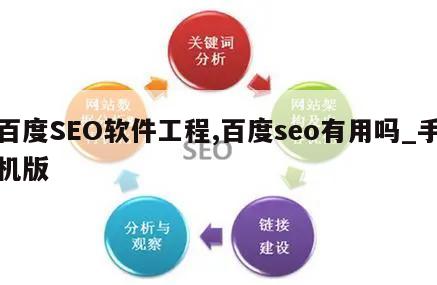 百度SEO软件工程,百度seo有用吗_手机版