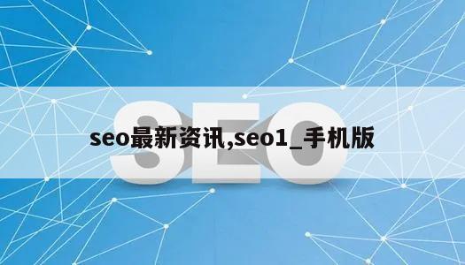 seo最新资讯