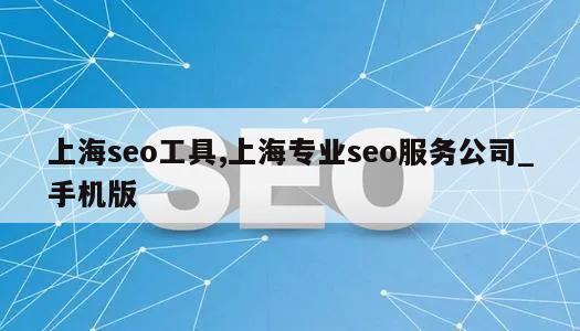 上海seo工具,上海专业seo服务公司_手机版