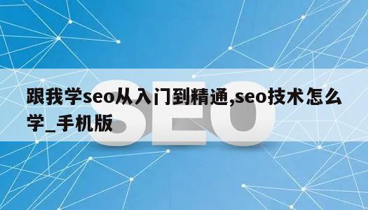 跟我学seo从入门到精通