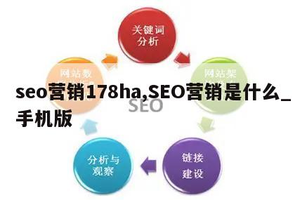 seo营销178ha,SEO营销是什么_手机版