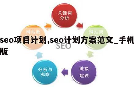 seo项目计划