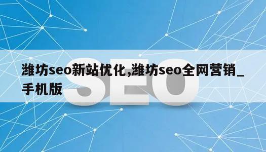 潍坊seo新站优化,潍坊seo全网营销_手机版