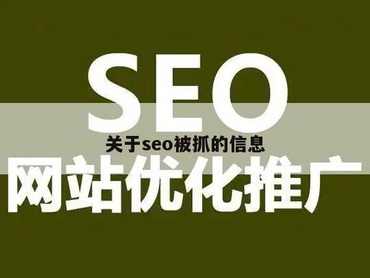 关于seo被抓的信息