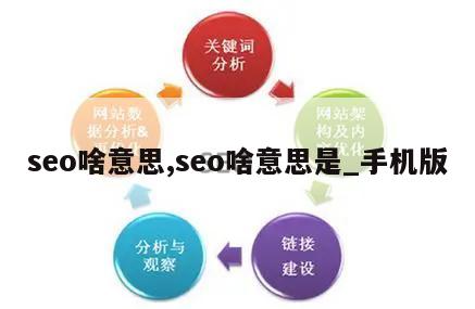 seo啥意思,seo啥意思是_手机版