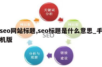 seo网站标题,seo标题是什么意思_手机版