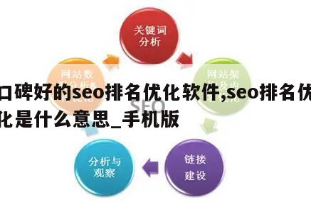 口碑好的seo排名优化软件,seo排名优化是什么意思_手机版