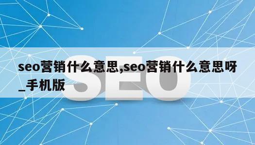 seo营销什么意思,seo营销什么意思呀_手机版